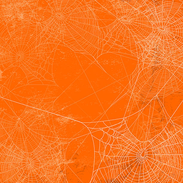 vector copy space background with empty spider web silhouette against shabby orange wall detailed spider web silhouette against shabby orange wall - halloween theme bright realistic copy space vector background with empty trap outline halloween background stock illustrations