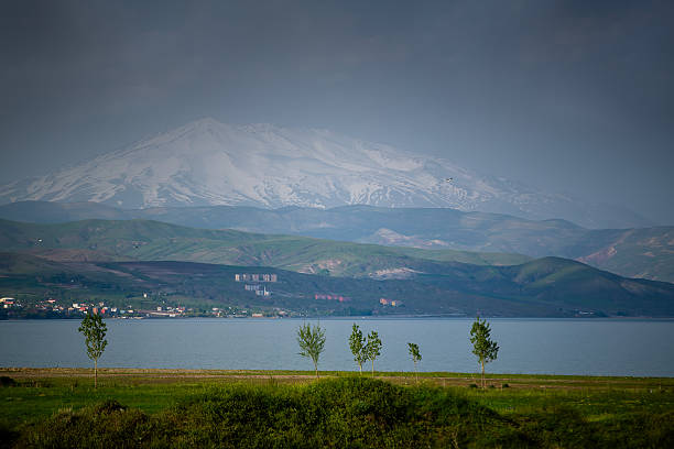 A scenic view of Mount Süphan, still capped with snow, towering behind the calm waters of Lake Van. In the foreground, a line of young trees stretches along the grassy shoreline. A bird can be seen flying in the clear sky, adding a sense of motion to this serene landscape.