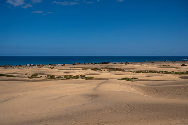 istock A desert landscape with a blue ocean in the background 2228957197