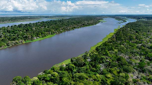 istock Stunning landscape of Amazon Forest at Amazonas State Brazil. 2228957442