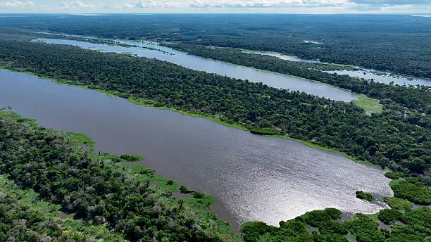 istock Stunning landscape of Amazon Forest at Amazonas State Brazil. 2228957481