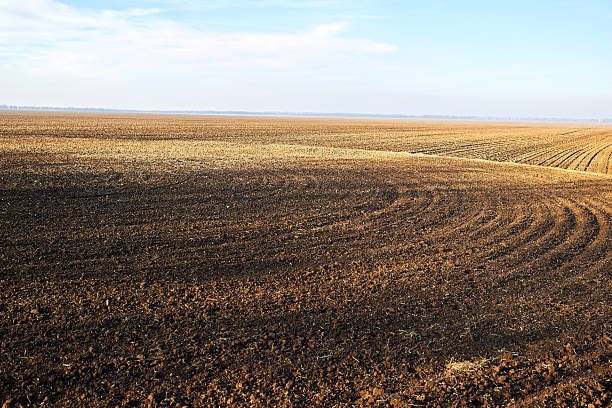 istock Plough agriculture field before sowing 2228957964