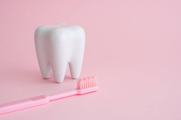 istock White tooth model and pink dental toothbrush on pink background with copy space. 2228958030