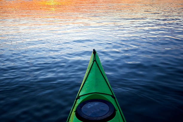A peaceful view from a kayak, showing the front of the boat with a white water lily and tall reeds and trees on the shoreline.
