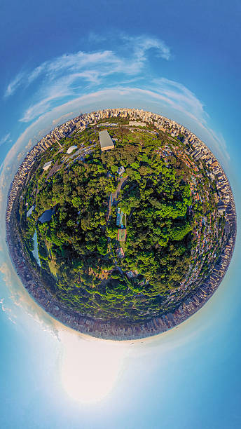 istock Ibirapuera Park 2228959378