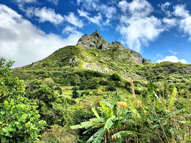 istock Views from the Malenga lookout in Mauritius on a partly cloudy day 2228961695