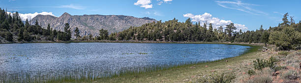Panoramic view of Summit Lake in Alpine County, Californian Sierra Nevada in background.