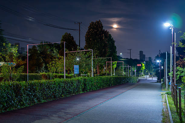 Evening park with lanterns and autumn trees. Old wrought iron benches along the alley create a cozy atmosphere. Street lighting adds a special charm to the urban landscape.