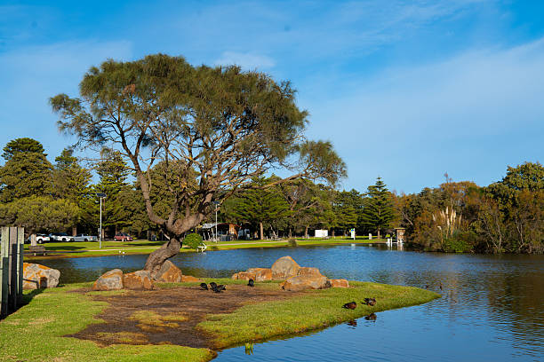 istock Warnambool Natural Lake Morning, Australia 2228969461