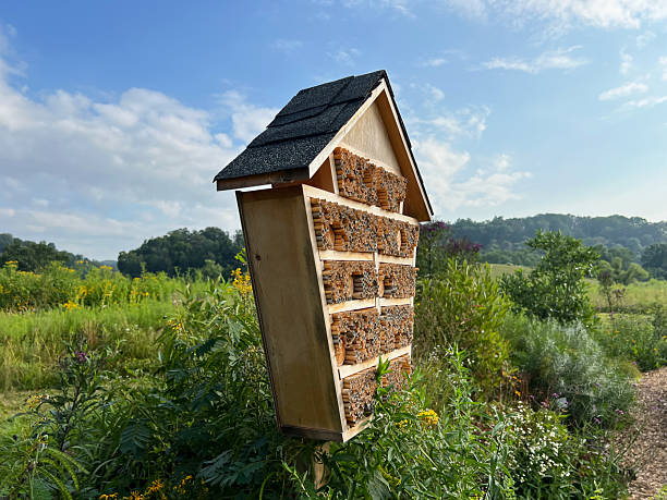 istock Bee Hotel in Meadow 2228970788
