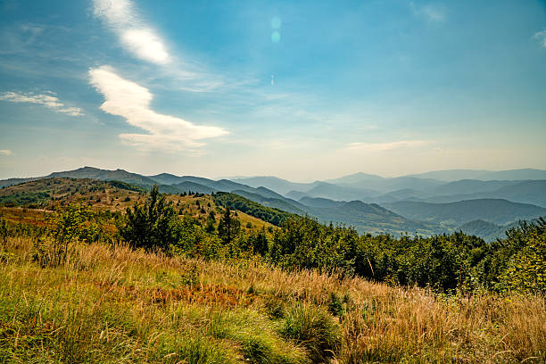 A mountain range in the Bieszczady Mountains in the area of Tarnica, Halicz and Rozsypaniec.