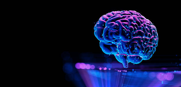 istock Human Brain - Futuristic Concept of Intelligence, science and mind 2228973152