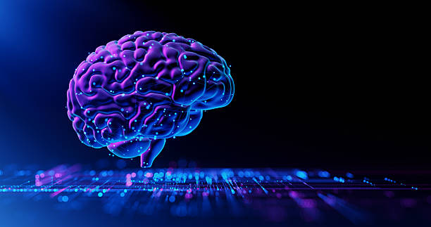 istock Human Brain - Futuristic Concept of Intelligence, science and mind 2228974200