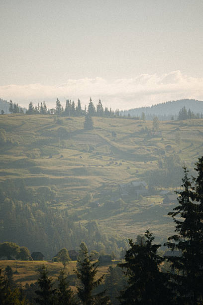 Rural landscape and distant mountains in morning light