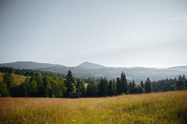 Rural landscape and distant mountains in morning light