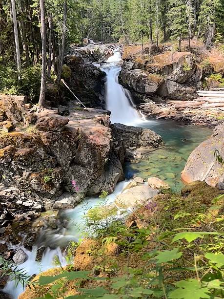 istock Ohanapecosh River’s Silver Falls on a sunny afternoon 2228974729