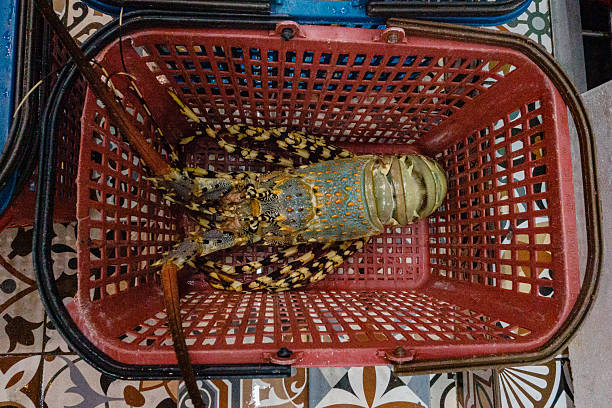 istock Lobster resting in a red basket with intricate patterns on the floor surrounding it 2228977575