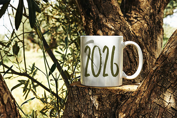 White mug featuring bold '2026' text resting on a tree stump amidst lush nature, symbolizing fresh beginnings and future moments