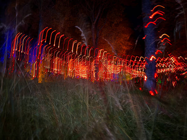 istock Long exposure of red lights in forest 2228979375