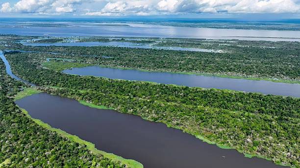 istock Stunning landscape of Amazon Forest at Amazonas State Brazil. 2228979402