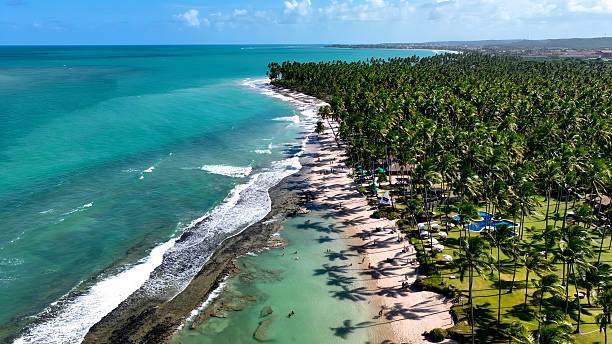 istock Sheep Beach At Tamandare In Pernambuco Brazil. 2228981338