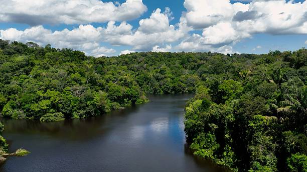 istock Stunning landscape of Amazon Forest at Amazonas State Brazil. 2228984424
