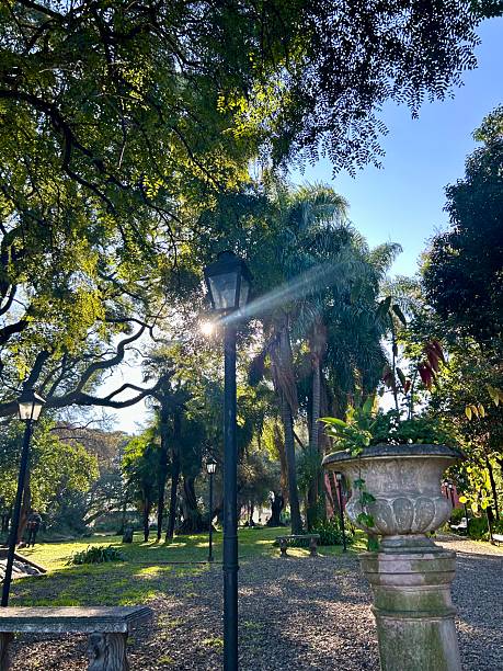 istock Peaceful afternoon at the park 2228985423