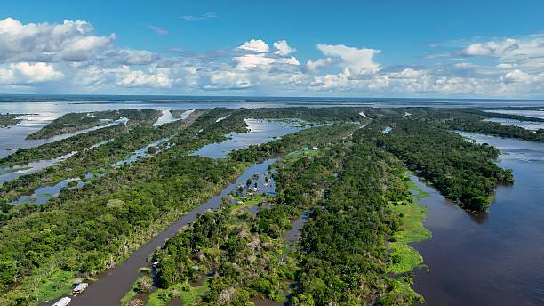 istock Stunning landscape of Amazon Forest at Amazonas State Brazil. 2228986955