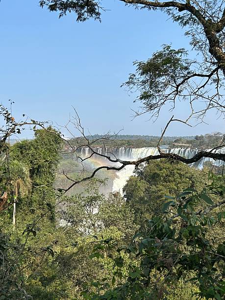 istock Iguazu Falls Framed by Greenery 2228987176