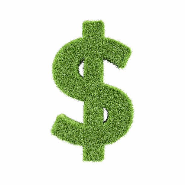 istock Dollar Sign Made of Green Grass on Isolated White Background - Object Clipping Path 2229005749