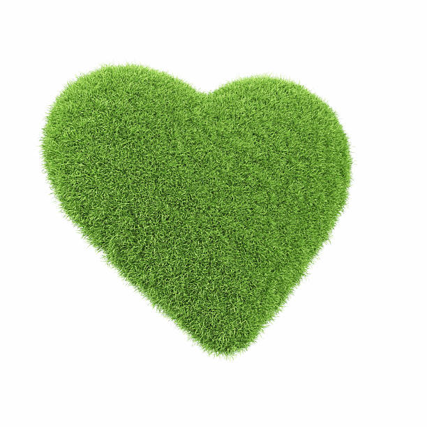 istock Heart Icon Made of Green Grass on Isolated White Background - Object Clipping Path 2229006193