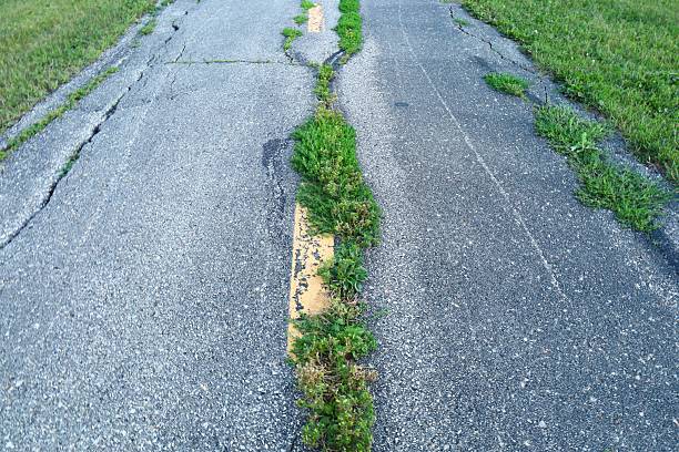 Green grass growing from the Asphalt, broken the force of Nature.
