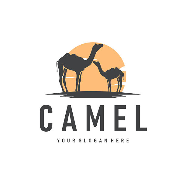 istock desert animal design sahara silhouette logo camel simple modern concept vintage caravan camel illustration template symbol brand product business 2229009330