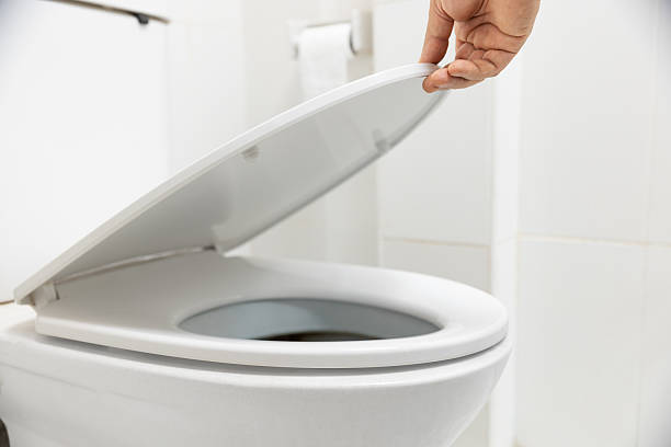 istock Worker replace hinge rubber plug and Screws for Toilet Seat 2229013658