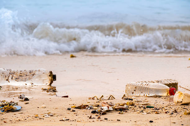 trash, plastic cups and plastic bags at the beach. environmental problem concept and healing the world