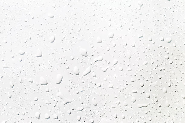 istock Water drops on white background, Closeup water drops on white background 2229014343