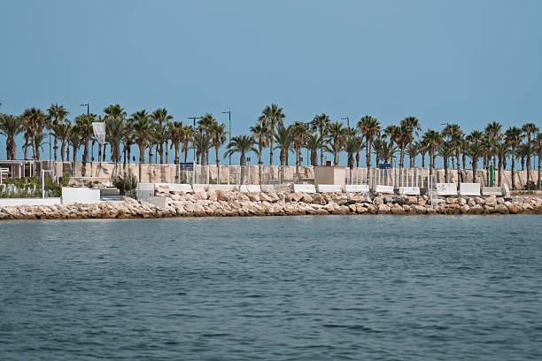 istock Coastal promenade with palm trees. 2229015214