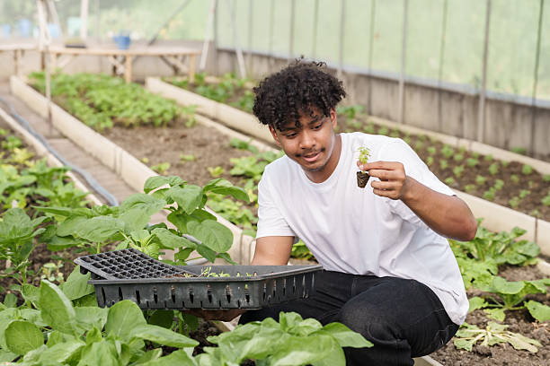 istock Multiracial male student holding seedling tray while sitting among green vegetables during school agriculture class in greenhouse focusing on planting skills observation and organic farming practice 2229017430