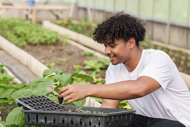 istock Multiracial male student using seedling tray while smiling and planting vegetables inside school greenhouse during agriculture education class focused on observation skill and teamwork activity 2229017437
