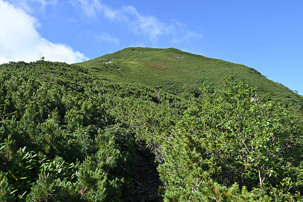 istock Climbing Mt. Senjogatake , Yamanashi, Japan 2229025162