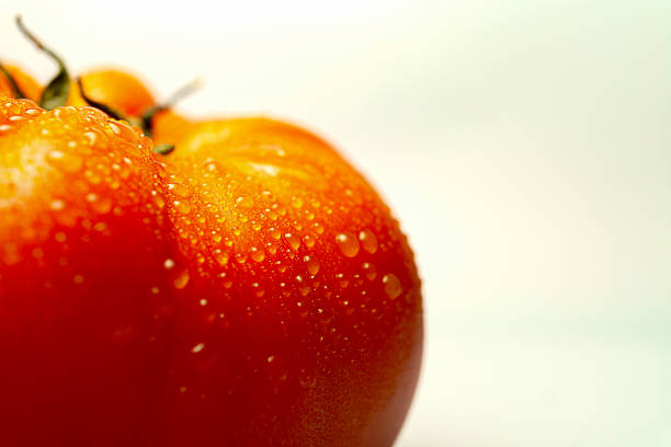 Close-up of a ripe red tomato glistening with fresh water droplets, conveying freshness and quality