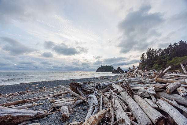 istock Pacific Ocean coast near Olympic National Park 2229028704