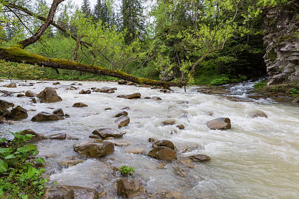 istock Mountain river and stream flowing into it at rainy day 2229032377