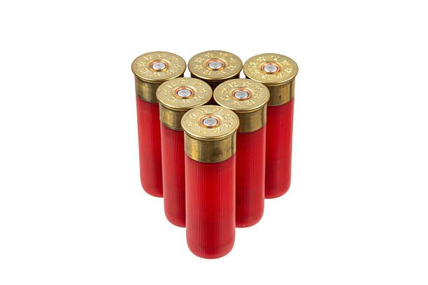 istock Six red shotgun shells with brass bases stand upright in a group. 2229037699