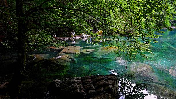 This image captures the serene and crystal-clear waters of Blausee, a small lake located in the Bernese Oberland region of Switzerland. Known for its exceptional water clarity and vivid blue-green hues, the lake is surrounded by dense pine forests and towering rock formations. Submerged logs are visible beneath the surface, adding a unique texture to the composition. Blausee is a popular natural attraction, ideal for eco-tourism, hiking, and relaxing in nature. The peaceful environment reflects the untouched alpine beauty and tranquil atmosphere of the Swiss countryside.