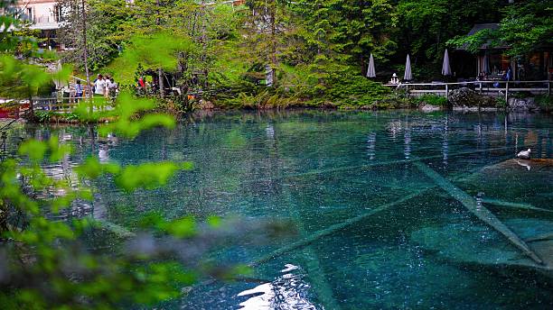 istock Tranquil view of Blausee Lake with emerald turquoise water and submerged tree trunks, surrounded by dense green alpine forest and rocky cliffs in Bernese Oberland, Switzerland, Nature and eco-tourism concept 2229038430