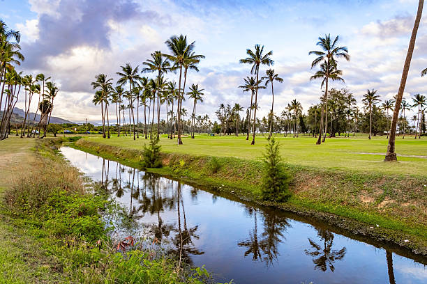 The Ala Wai Canal in the heart of Waikiki