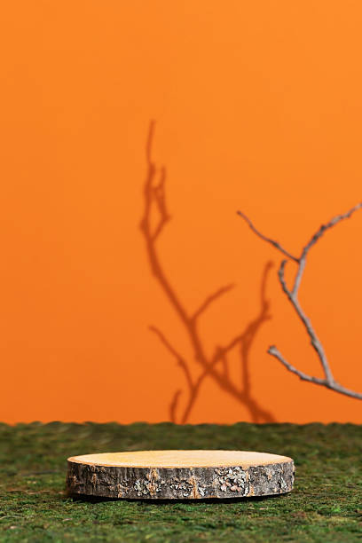 Wooden slice podium with bare tree branches on green moss on an orange background. Premium empty scene for product promotion, beauty, natural eco cosmetic. Showcase, display case.