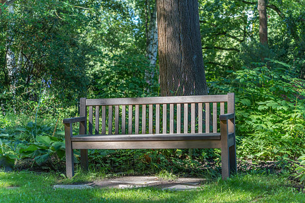 istock Garden Bench in the Forest. 2229045450