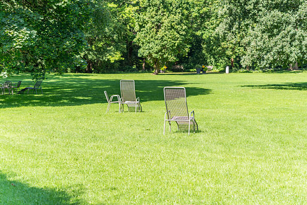 Chairs on a lawn in the park.